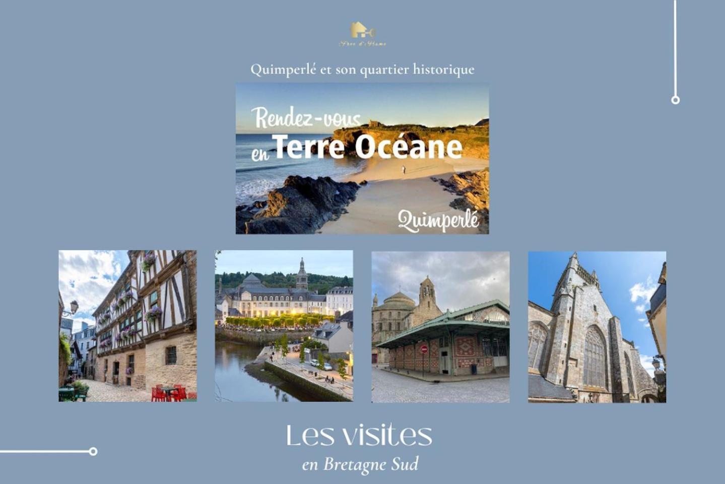 Le Belaven, Neuf, Cosy, Terrasse, Jardin, Kerfany Plage, 1 A 6 Pers Moëlan-sur-Mer Buitenkant foto