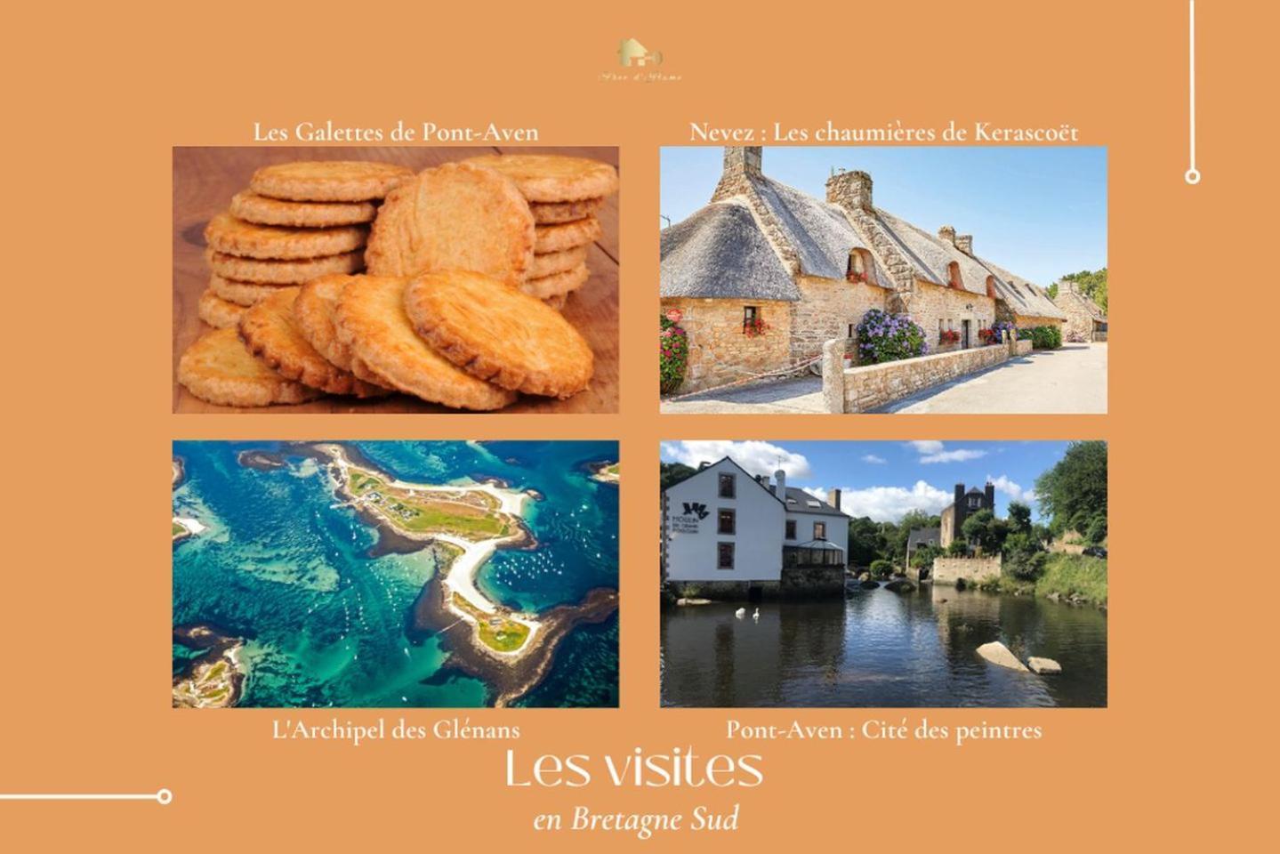 Le Belaven, Neuf, Cosy, Terrasse, Jardin, Kerfany Plage, 1 A 6 Pers Moëlan-sur-Mer Buitenkant foto