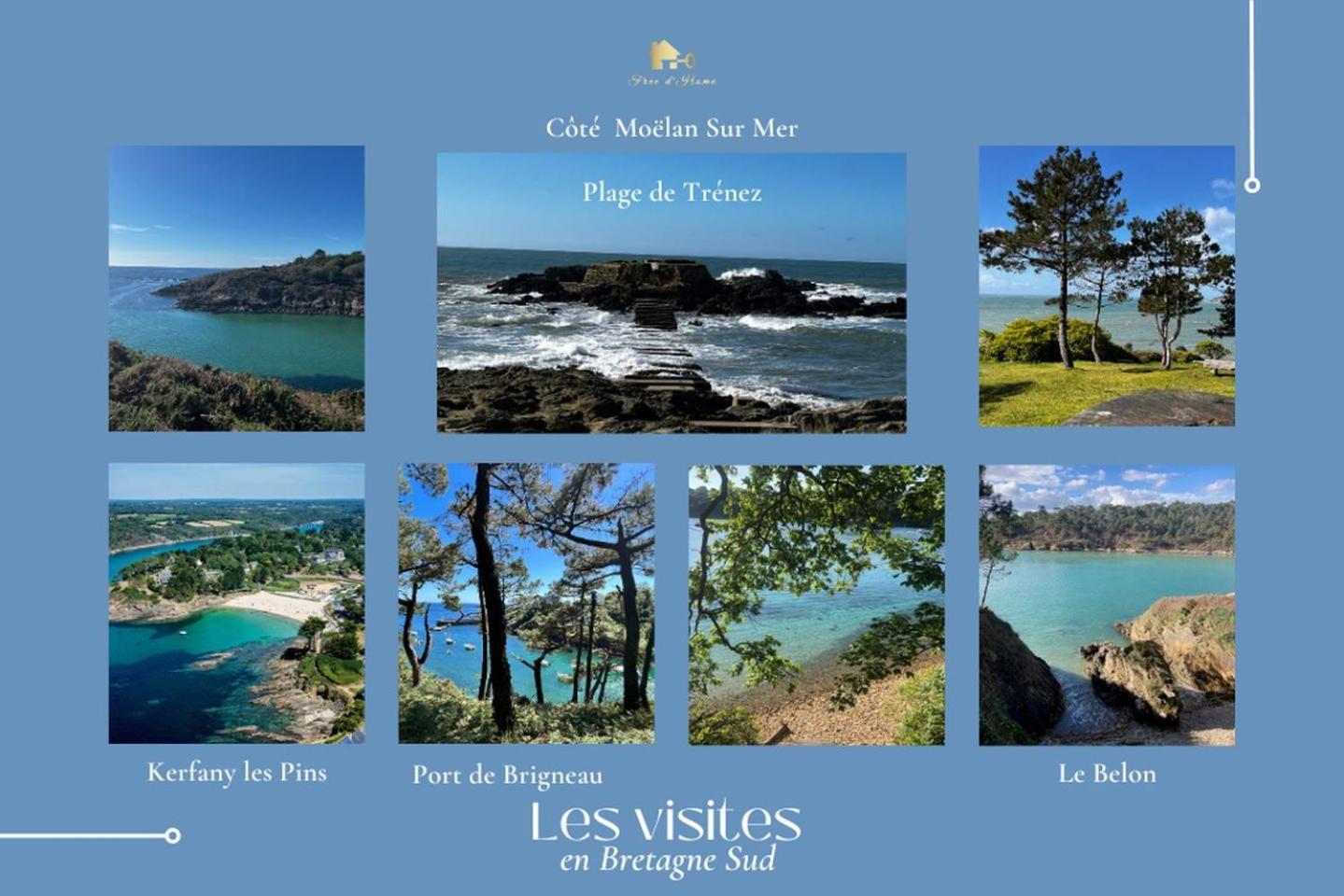 Le Belaven, Neuf, Cosy, Terrasse, Jardin, Kerfany Plage, 1 A 6 Pers Moëlan-sur-Mer Buitenkant foto